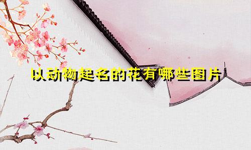以动物起名的花有哪些图片
