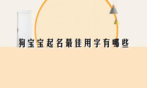 狗宝宝起名最佳用字有哪些