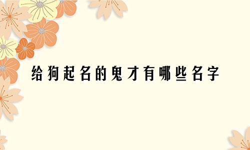 给狗起名的鬼才有哪些名字