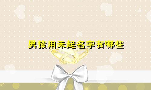 男孩用禾起名字有哪些