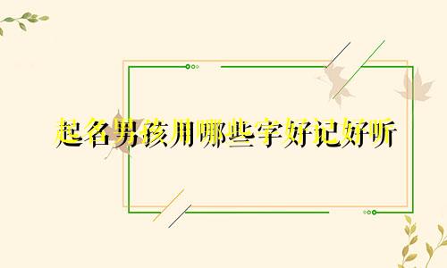起名男孩用哪些字好记好听