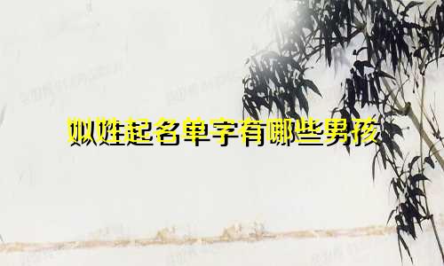 姒姓起名单字有哪些男孩