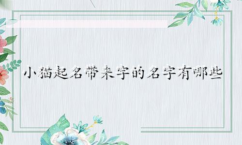 小猫起名带来字的名字有哪些
