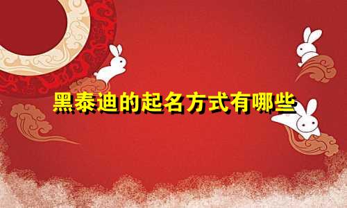 黑泰迪的起名方式有哪些
