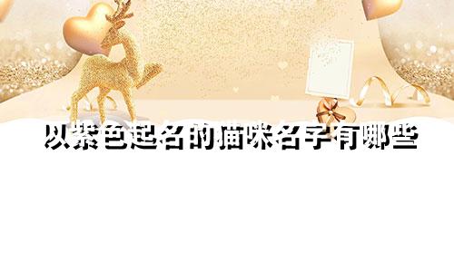 以紫色起名的猫咪名字有哪些