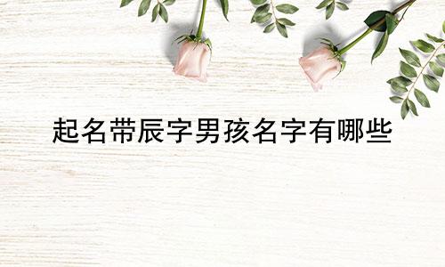 起名带辰字男孩名字有哪些