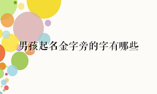 男孩起名金字旁的字有哪些