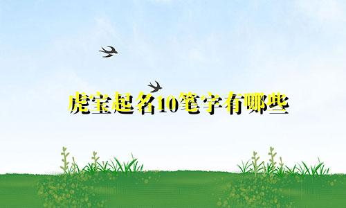 虎宝起名10笔字有哪些