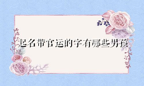 起名带官运的字有哪些男孩