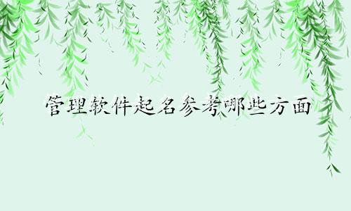 管理软件起名参考哪些方面