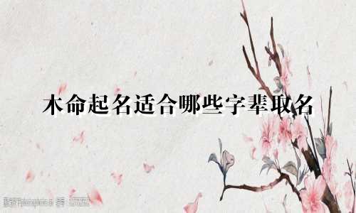 木命起名适合哪些字辈取名