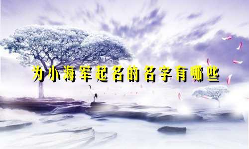 为小海军起名的名字有哪些