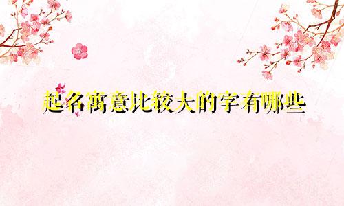 起名寓意比较大的字有哪些