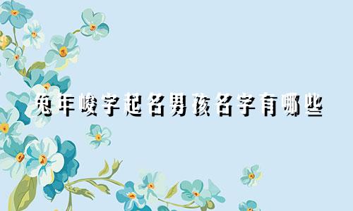 兔年峻字起名男孩名字有哪些