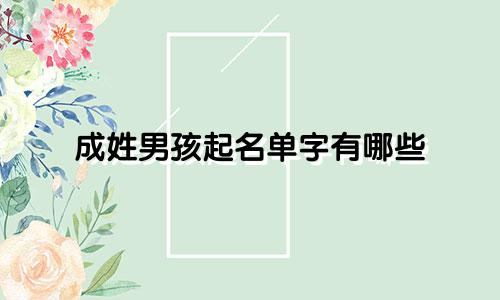 成姓男孩起名单字有哪些