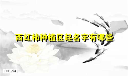 西红柿种植区起名字有哪些