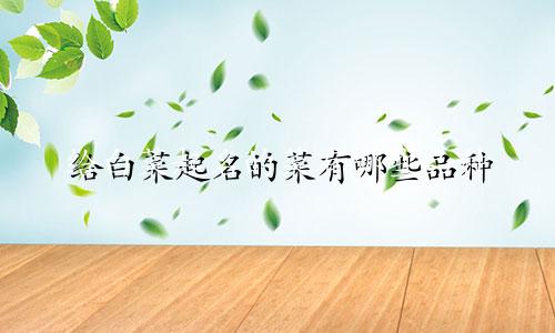 给白菜起名的菜有哪些品种