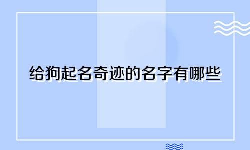 给狗起名奇迹的名字有哪些