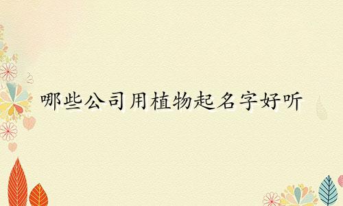 哪些公司用植物起名字好听