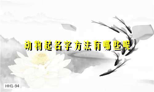 动物起名字方法有哪些呢