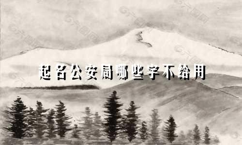 起名公安局哪些字不给用