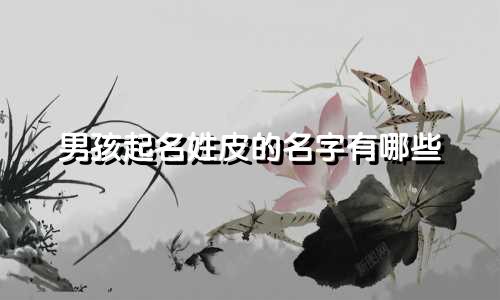 男孩起名姓皮的名字有哪些
