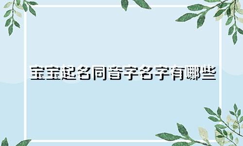 宝宝起名同音字名字有哪些