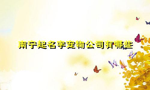 南宁起名字宠物公司有哪些