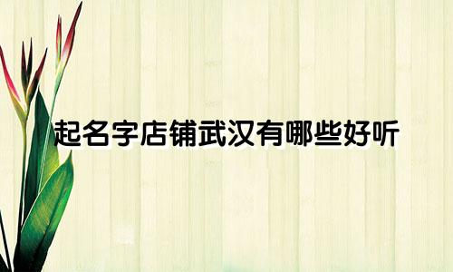 起名字店铺武汉有哪些好听