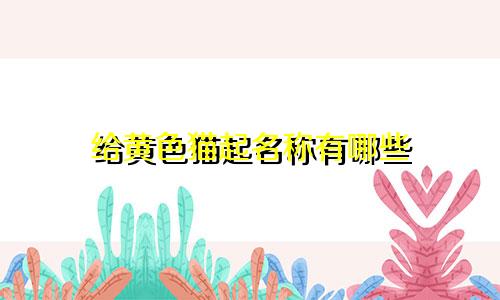 给黄色猫起名称有哪些