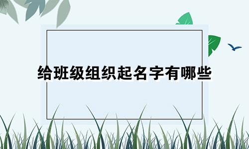 给班级组织起名字有哪些
