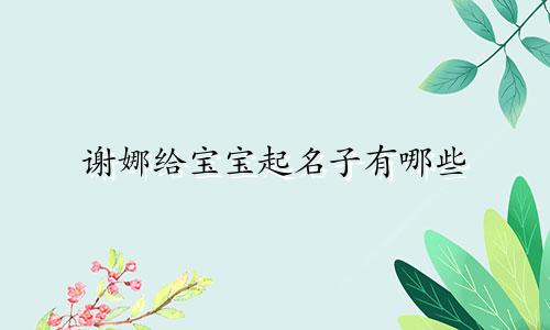 谢娜给宝宝起名子有哪些