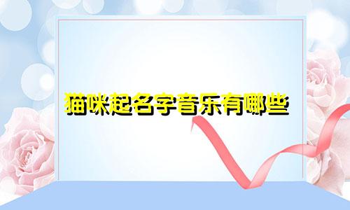 猫咪起名字音乐有哪些
