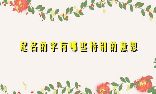 起名的字有哪些特别的意思