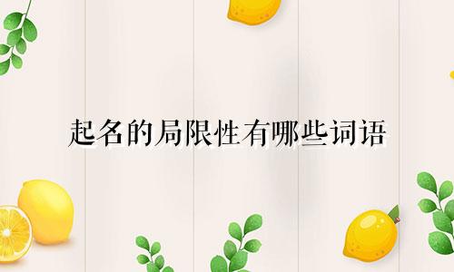 起名的局限性有哪些词语