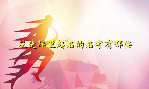 从楚辞里起名的名字有哪些