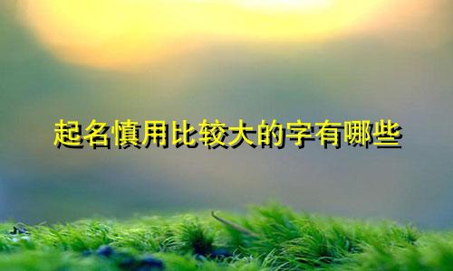 起名慎用比较大的字有哪些