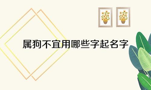 属狗不宜用哪些字起名字