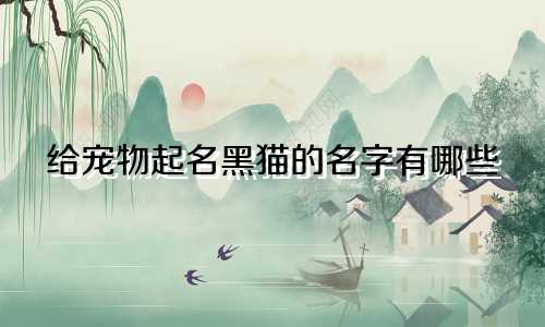 给宠物起名黑猫的名字有哪些