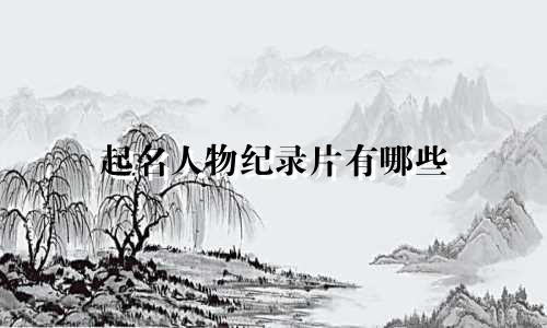 起名人物纪录片有哪些