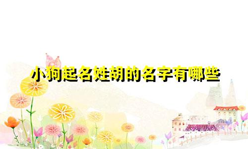 小狗起名姓胡的名字有哪些