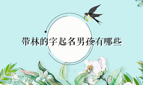带林的字起名男孩有哪些