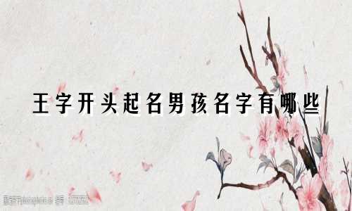 王字开头起名男孩名字有哪些