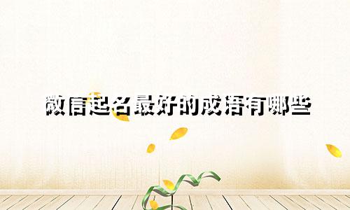 微信起名最好的成语有哪些