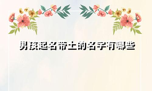 男孩起名带土的名字有哪些