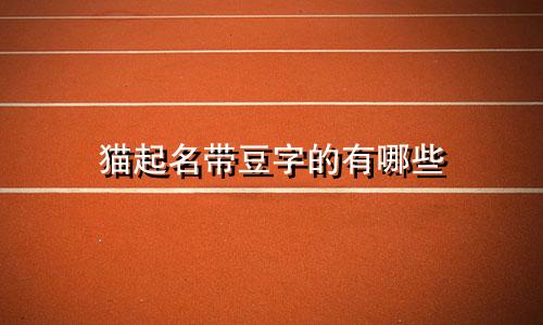 猫起名带豆字的有哪些