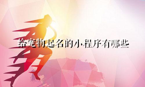 给宠物起名的小程序有哪些
