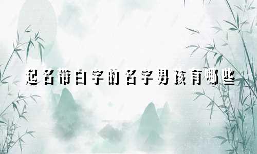 起名带白字的名字男孩有哪些