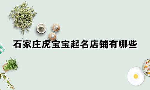 石家庄虎宝宝起名店铺有哪些