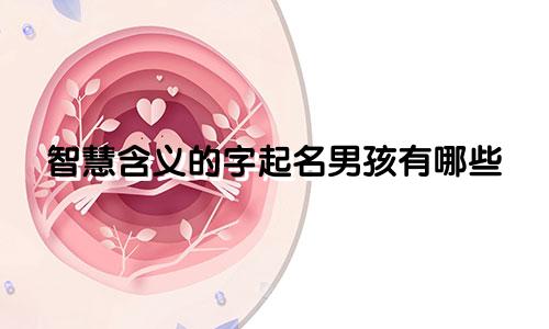 智慧含义的字起名男孩有哪些